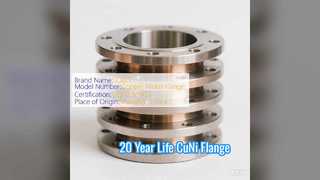 Hot Forged CuNi 70 30 ফ্ল্যাঞ্জ 20 বছরের পরিষেবা জীবন