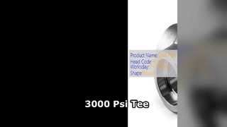 3000 Psi টি উচ্চ চাপ শিল্প হ্রাসকারী