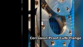 CuNi 70/30 ফ্ল্যাঞ্জ রাসায়নিক ব্যবহার