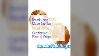 স্পেকটেকল ফ্ল্যাঞ্জ কপার নিকেল 90/10 নকল