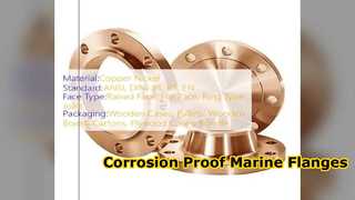 ASME B16.5 কপার নিকেল স্লিপ অন ফ্ল্যাঞ্জ মেরিন পাইপিং