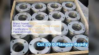 Cui 70 0 SW ফ্ল্যাঞ্জ নকল ASME B6 Cl 0 প্রস্তুত