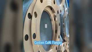 কাস্টম CuNi C70600 Flanges ক্লাস 300