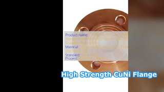 C71500 70 30 CuNi WNRF ফ্ল্যাঞ্জ ক্লাস 1500 উচ্চ শক্তি