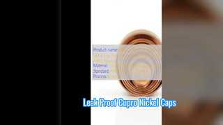 লিক প্রুফ HVAC এর জন্য UNS C70600 Cupro Nickel 90 10 Cap