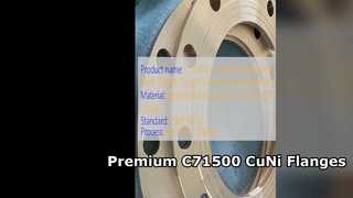C71500 CuNi 70 30 ওয়েল্ড নেক ফ্ল্যাঞ্জ প্রিমিয়াম নকল গুণমান