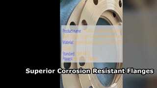 C71500 CuNi 70 30 ওয়েল্ড নেক ফ্ল্যাঞ্জ উচ্চ শক্তির সমাধান