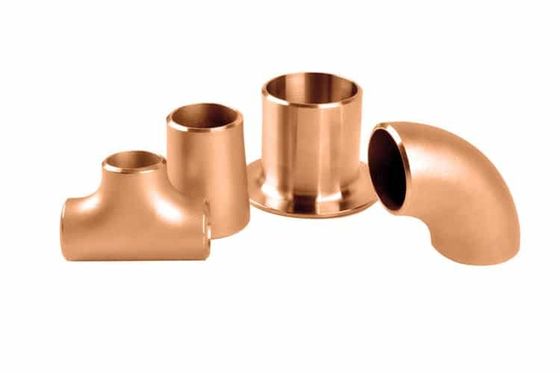 SS304 Stainless Steel Stub End Fittings, Butt Weld Lap Joint Pipe Connector for Industrial Piping